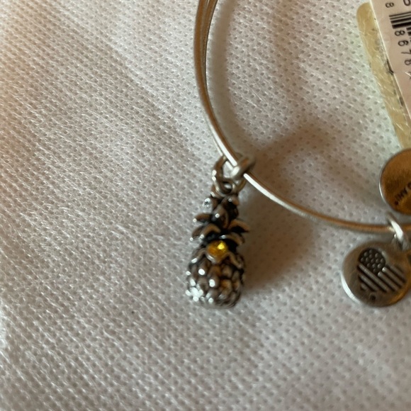 Alex and Ani silver finish; pineapple charm. Pineapples represent welcome. - Picture 3 of 4